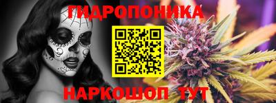 дурь Кимры