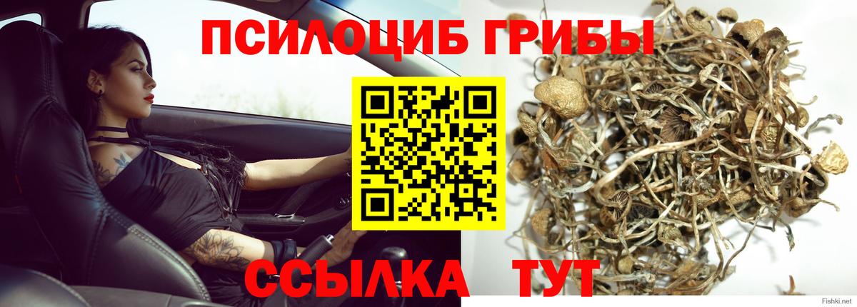 Радужный  Галлюциногенные грибы Magic Shrooms  Вход с VPN 