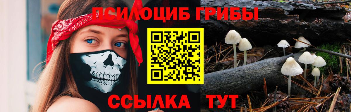 Галлюциногенные грибы Cubensis Радужный